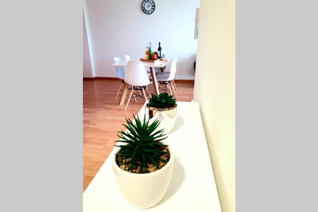 Apartamento Hill & Sea House Ribeira Grande Exterior foto
